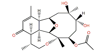 Pachyclavulariaenone C